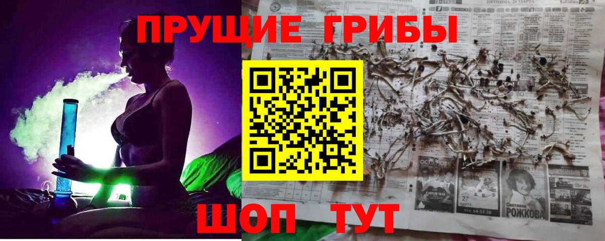 Псилоцибиновые грибы Psilocybe  Галлюциногенные грибы ЛСД  Шали  Вход с VPN 